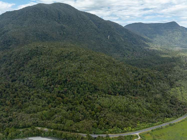 Arawata, Jackson Bay Haast_15