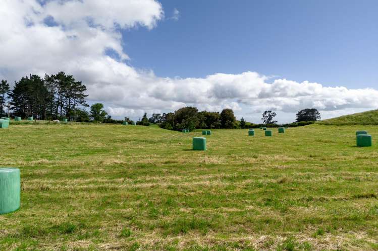 Lot 1 Mangorei Road_5