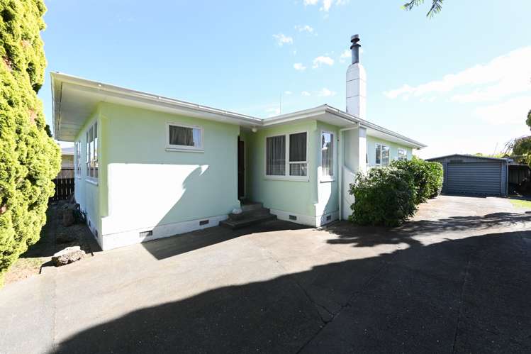 17 Davidson Avenue Pirimai_18