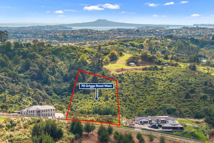 79 Griggs Road East Tamaki Heights_9