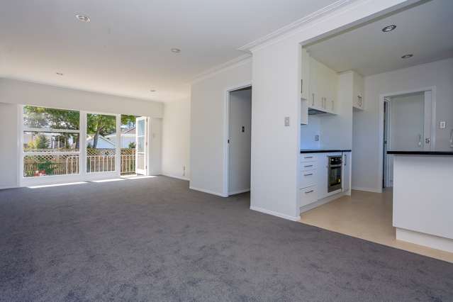 13b Saint Lukes Road Mount Albert_3