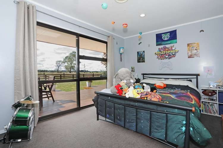 455b State Highway 1 Bulls_16