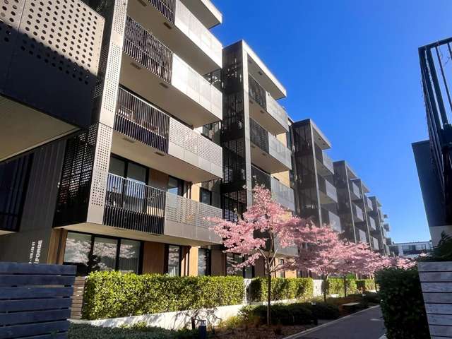 Central City Apartment with Undercover Carpark!