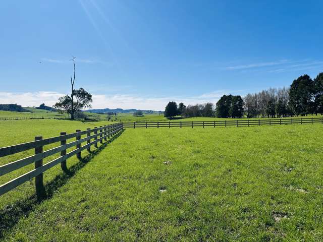 191 Waerenga Road Te Kauwhata_1