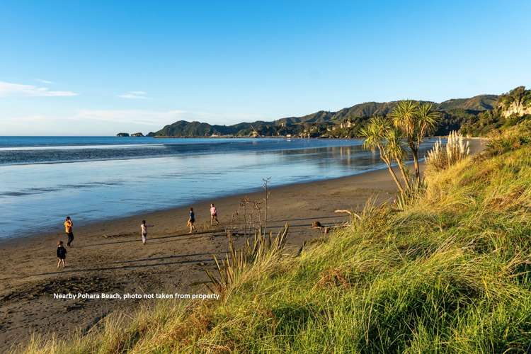 6/43 Meihana Street Takaka_18