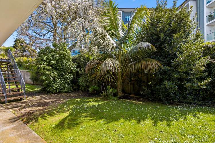 3/23B Hillsborough Road Hillsborough_11