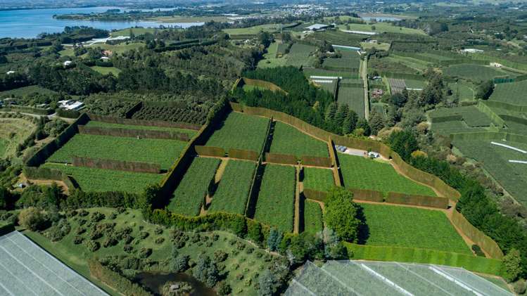 169 Kauri Point Road Tahawai_2