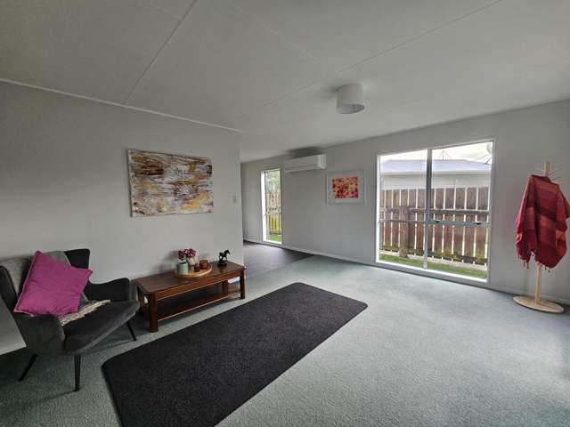 23 Grenville Street Levin_1