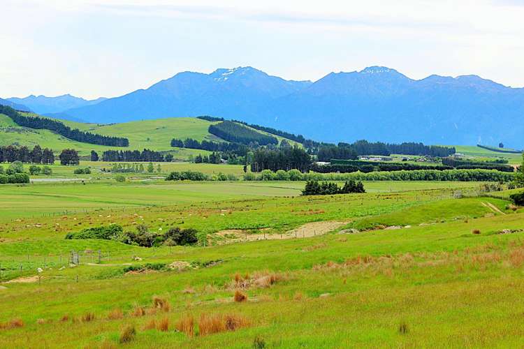 105 Lynwood Road Hillside_22