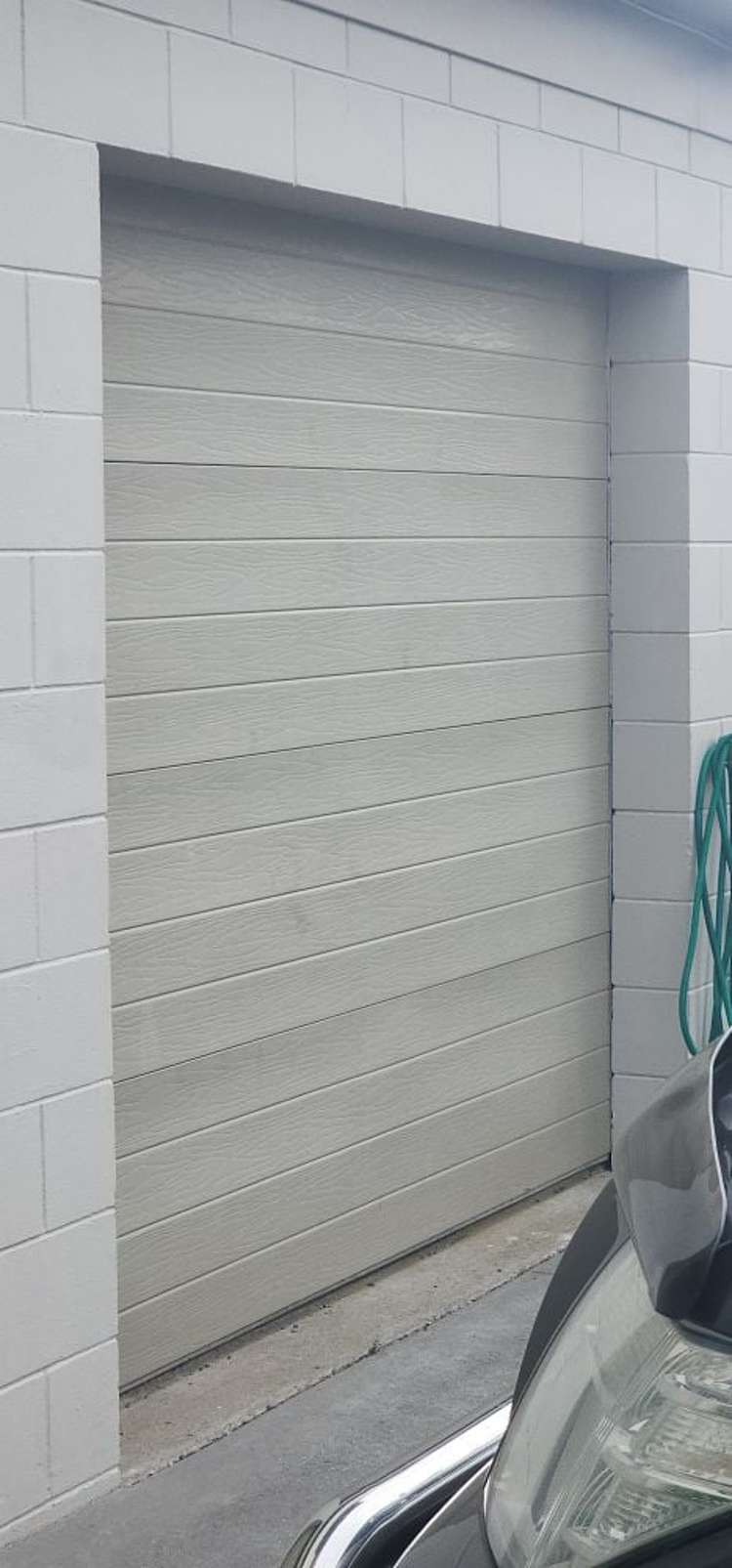 1 Nukumea Common Orewa_3