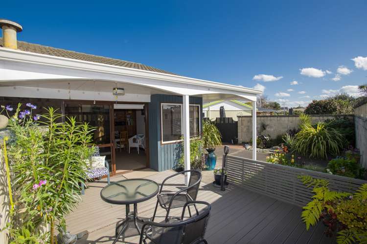 15a Hinaki Street Inner Kaiti_16