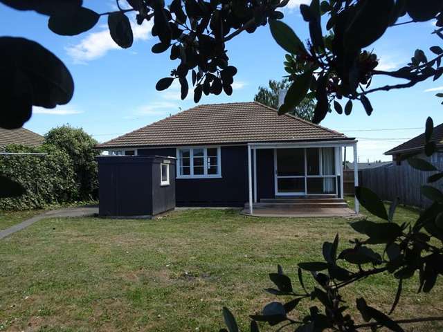 921 Bledisloe Street Raureka_3