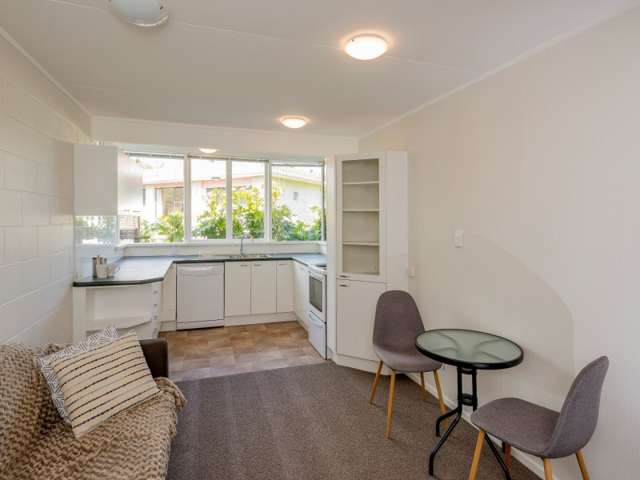 8b Conway Street Levin_3