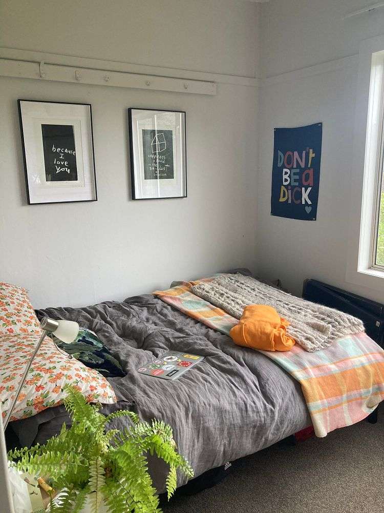 6 Semeloff Terrace Aro Valley_7