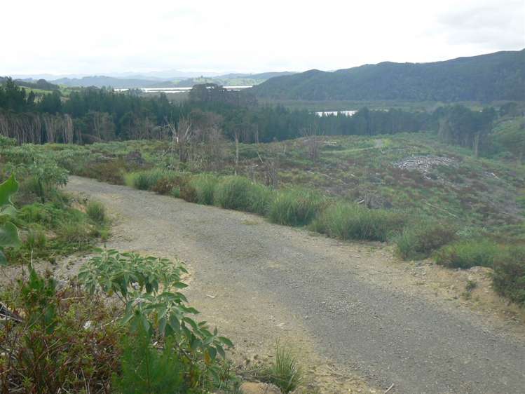 Taheke Road Horeke_18