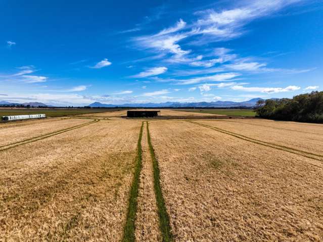 486 Steffan Road St Patricks_2