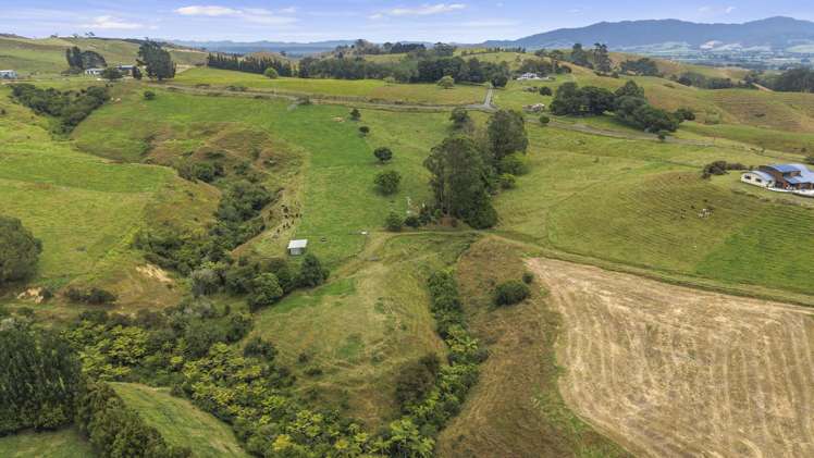 660 Quine Road Morrinsville_31