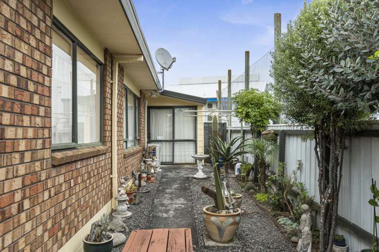 523 Fraser Street Greerton_14