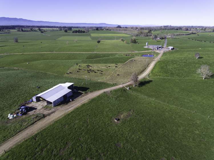 224 Maungakawa Road Ngarua_14