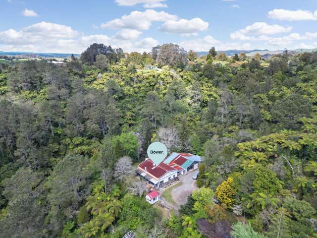 2233 State Highway 29 Lower Kaimai_1