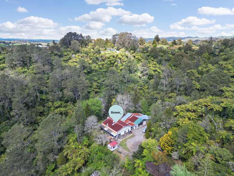 2233 State Highway 29 Lower Kaimai_1