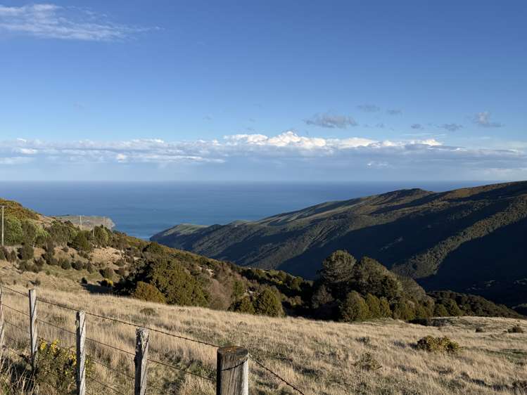 490 Long Bay Road Akaroa_19