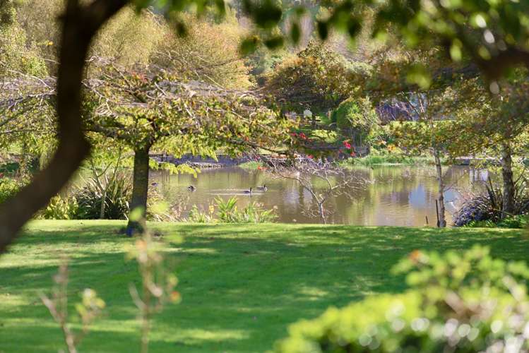 51 Mahaki Road Paraparaumu_6