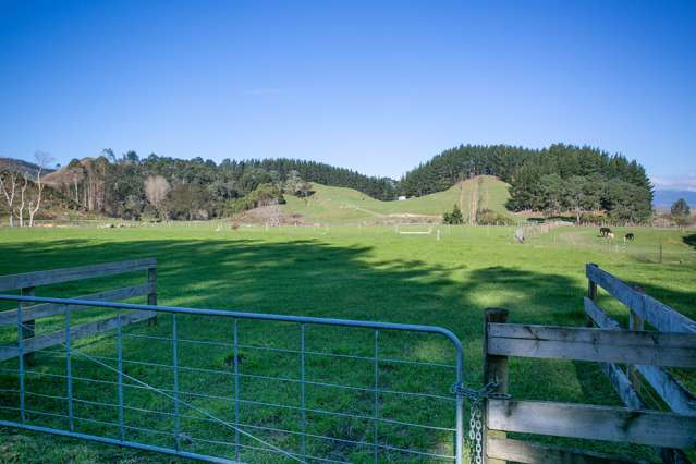 326 French Pass Road Cambridge_2