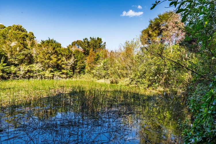 Lot 1/332 Kapiro Road Kerikeri_10