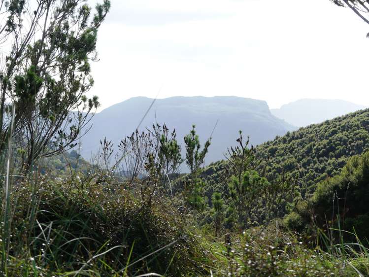 230 Schooner Bay Road Great Barrier Island (Aotea Island)_10