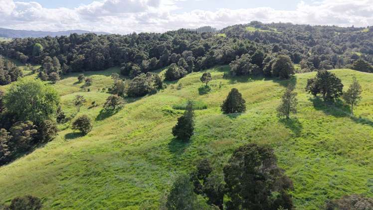 125 Orira Road Umawera_11