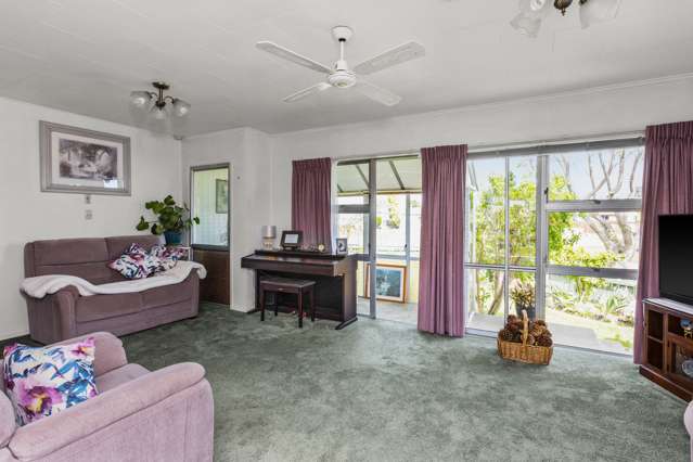 3 Arney Street Tamatea_4