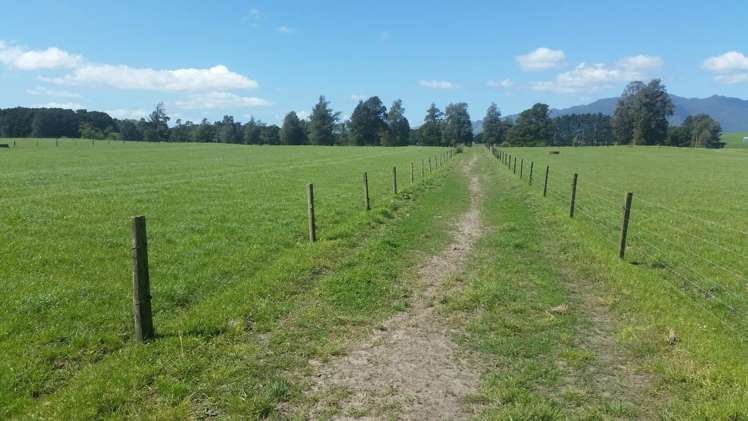 223 No 1 Road Waitoa_17