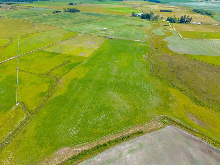 311 Hamilton Road Fairlie_16