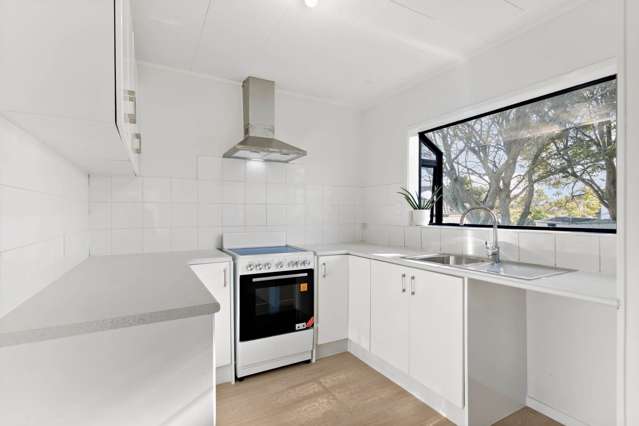 75 Burundi Avenue Clendon Park_3
