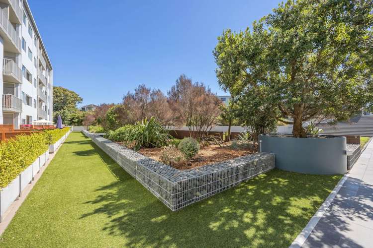 312a/130 Anzac Street Takapuna_2