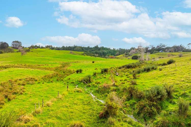 462 Kahikatea Flat Road Waitoki_7