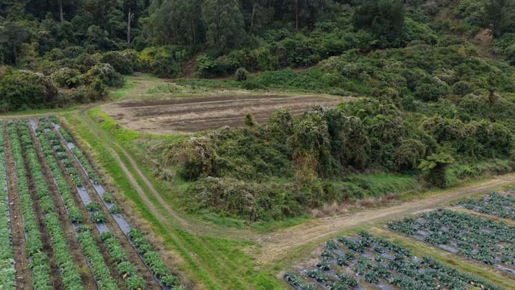 154a Takaka Hill Highway, Riwaka Motueka_3