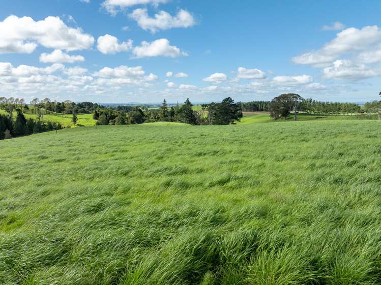 1232B Hetherington Road Huntly_10