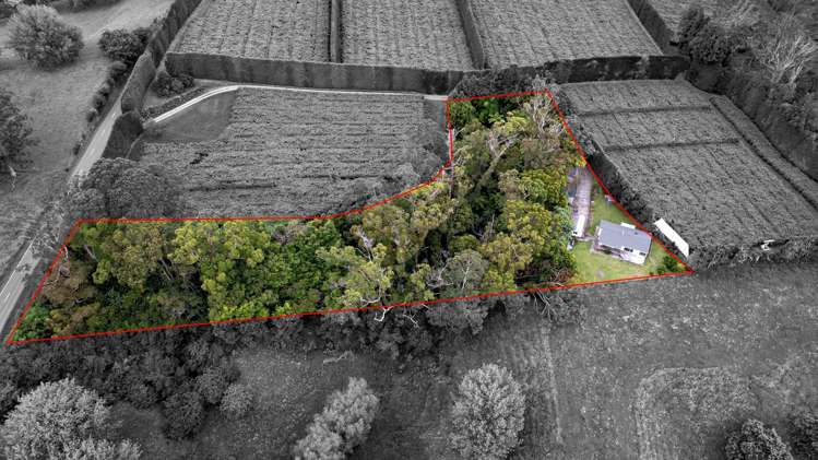 130 Walker Road, Opotiki_0