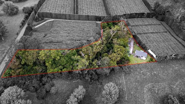 130 Walker Road, Opotiki_0