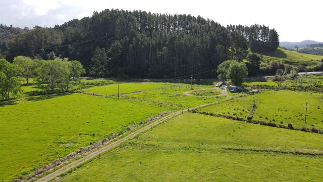 2680 Tairua Whitianga Road Whitianga_2