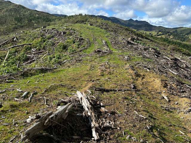 Waiotehue Road Herekino_2