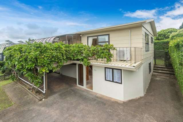 27a Owairaka Avenue Mount Albert_1