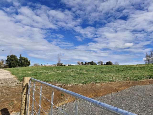 1599 Alexandra Street Te Awamutu_3
