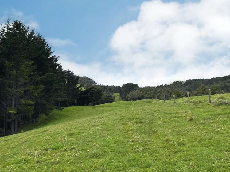 2288 Waihue Road Dargaville Surrounds_17