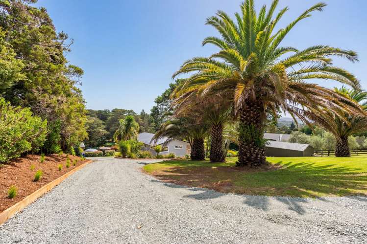 24 Mahurangi East Road Sandspit_47