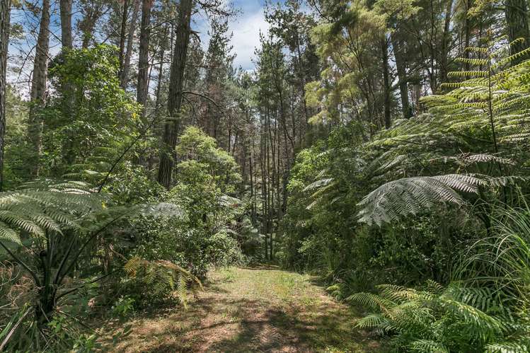 142 Wade River Road Wade Heads_15