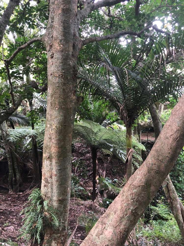 12 Beresford Avenue Surfdale_12