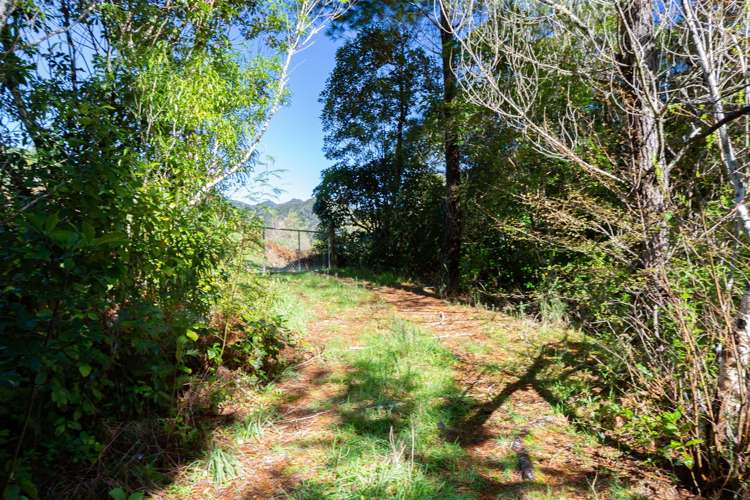 1000 Wakamarina Road Havelock_15